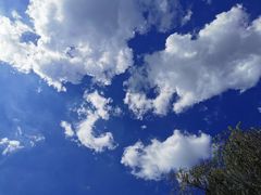 -绍兴鉴湖君澜大酒店