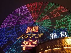 -星城之眼摩天轮