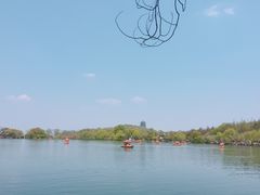 -西湖外事游船(花港观鱼码头)