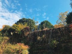 -广州神农草堂中医药博物馆