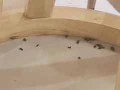 -阿信土煮大排档(太阳城店)