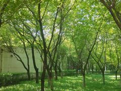 -西安市长乐公园
