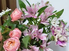 -弗劳尔花艺坊(龙涛店)