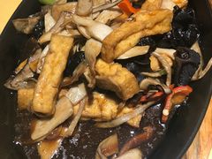 -素虎小呆鸟(西二旗店)