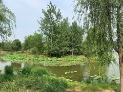 -东郊湿地公园