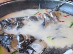 -丰乐餐厅·始于1999·本地老字号