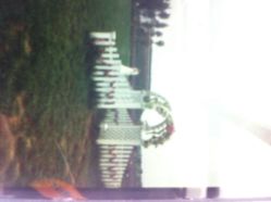 完美新娘-完美新娘婚纱摄影