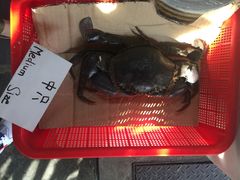 -龙海鲜螃蟹王(宏茂桥店)