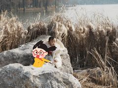-东湖落雁景区
