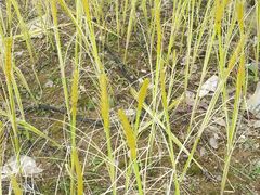 -南山小酒馆·江湖菜·夜宵(壹华里店)