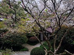 -中国茶叶博物馆(双峰馆区)