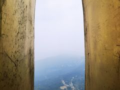 -大金鹰园