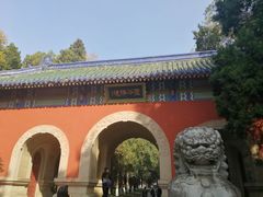 -灵谷景区