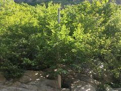 -赤山风景区