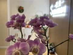 -星美科技皮肤管理中心(国贸店)