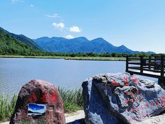 -大九湖