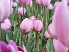 -渣打银行（中国）(北京分行)