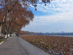 -杭州西湖风景名胜区-北街寻梦