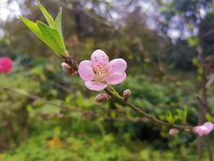 -乌山风景区