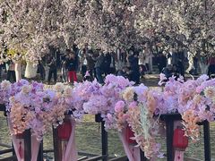 -元大都城垣遗址公园