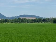 -良渚古城遗址公园