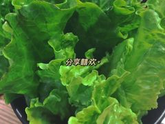 -酒拾烤肉(阳光100店)
