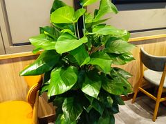 -COSTA COFFEE(斯普瑞斯奥特莱斯店)