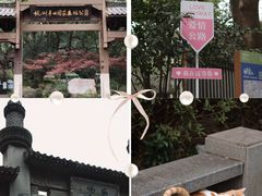 -杭州半山国家森林公园