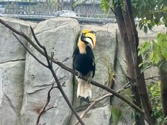 -武汉动物园
