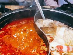 -销魂美蛙鱼头火锅(上海首店)