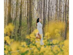 -合肥滨湖国家森林公园