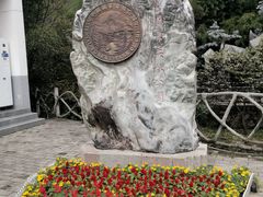 -王顺山国家森林公园
