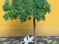 -西园戒幢律寺