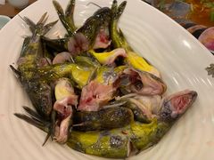 -新凯里酸汤鱼(飞山街店)