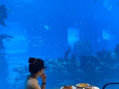 -海棠湾洲际-涛·海底餐厅·美人鱼·自助餐·海底隧道