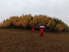 -塞罕坝国家级自然保护区