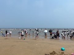 -日照海滨国家森林公园