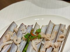 苏格兰蛏子皇-协成海鲜火锅(海洋花园店)