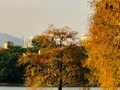 -肥妹烧腊店(洪湖店)