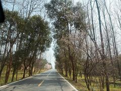 -崔岗艺术村
