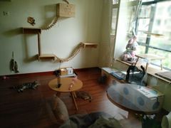 -Meowの猫咖(万家丽店)