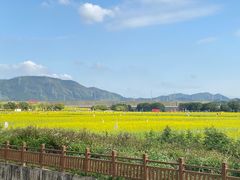 -光明小镇欢乐田园