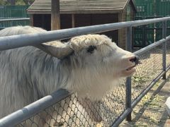 -长白岛森林公园