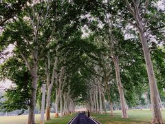 -河南省黄河迎宾馆