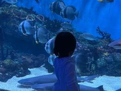 -海合安成都极地海洋公园