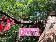 -天津盘山风景名胜区