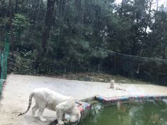 -贵州森林野生动物园