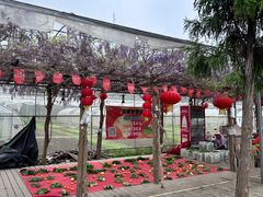 -前小桔亲子创意农场·草莓采摘·露营烧烤