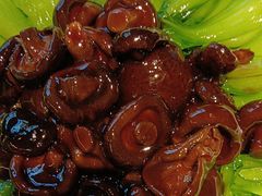 -高玛纳驴肉火烧(河间总店)