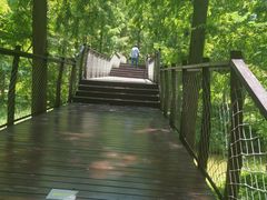 -黄海国家森林公园